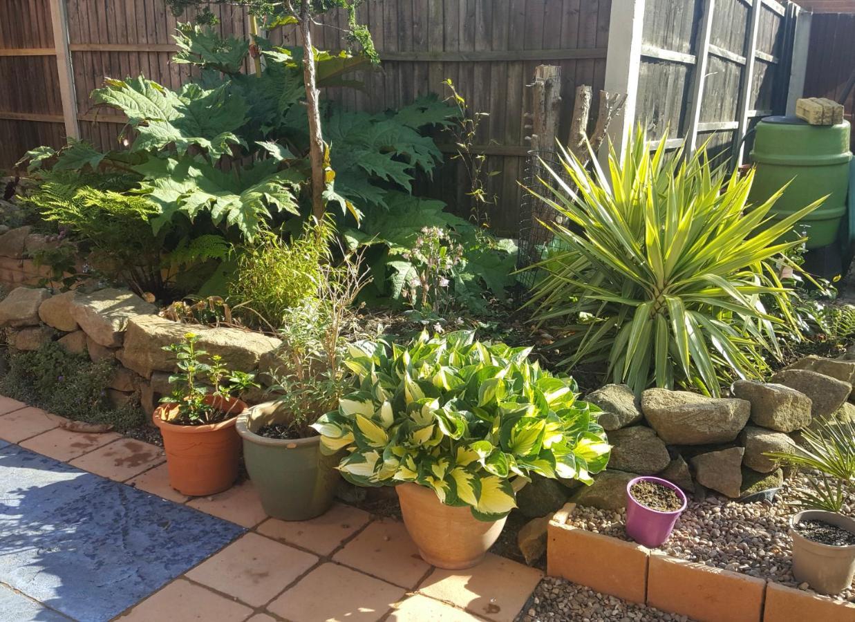 Self Contained Ground Floor Bedroom With Ensuite Wet Room Continental Breakfast Included Parking For 1 Car Outside Heanor Exterior foto